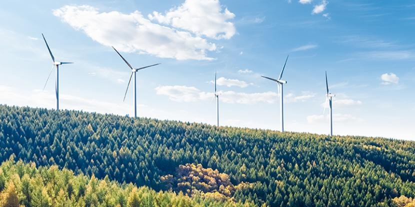 Can My Business Invest in a Wind Turbine?