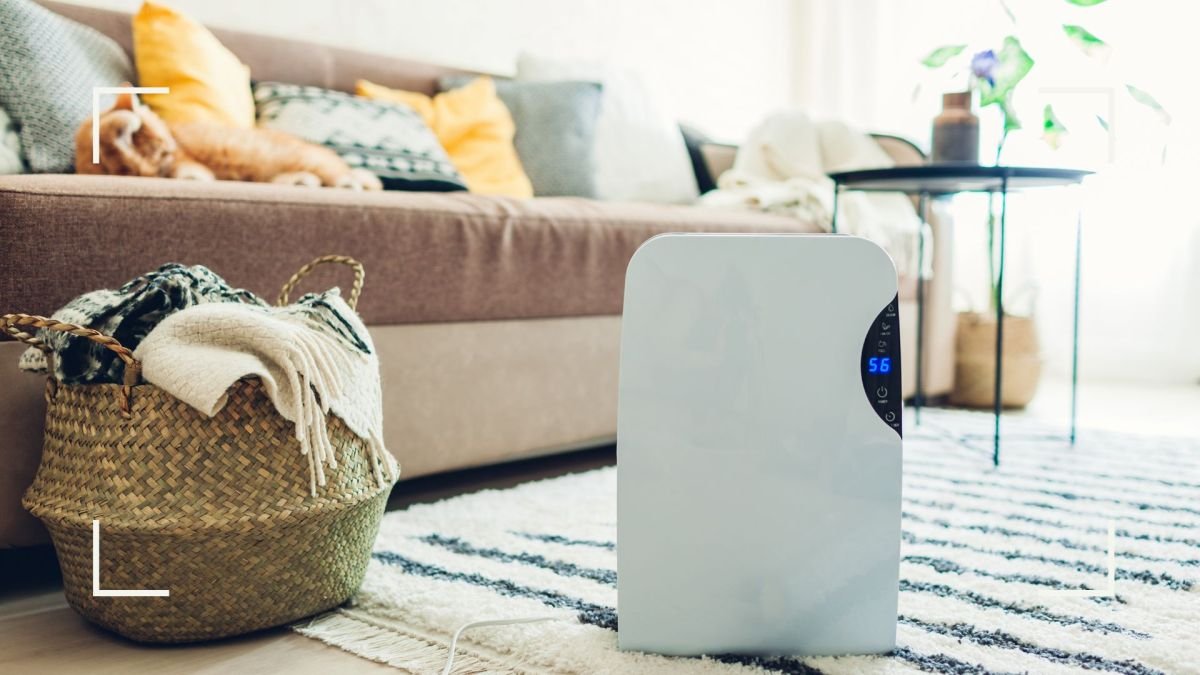 Should you buy a dehumidifier in the Cyber Monday sales? |