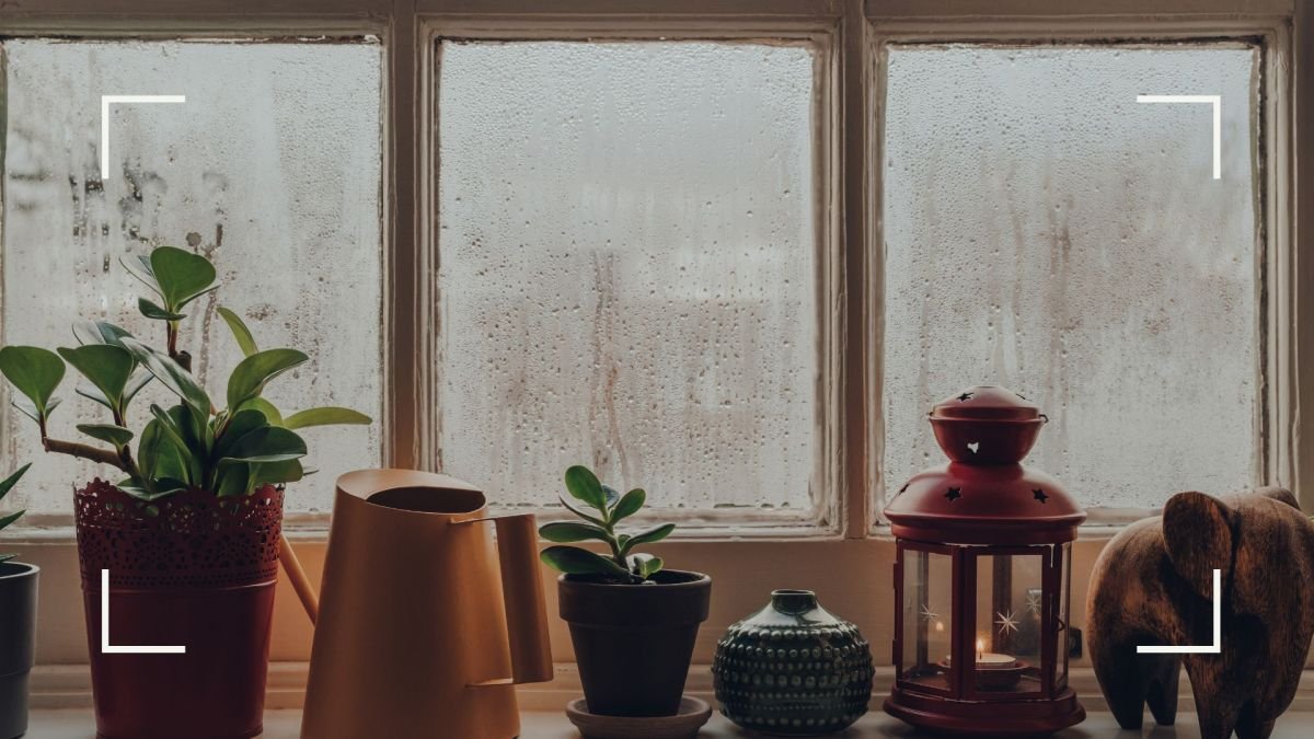 How to prevent condensation on windows, according to experts |