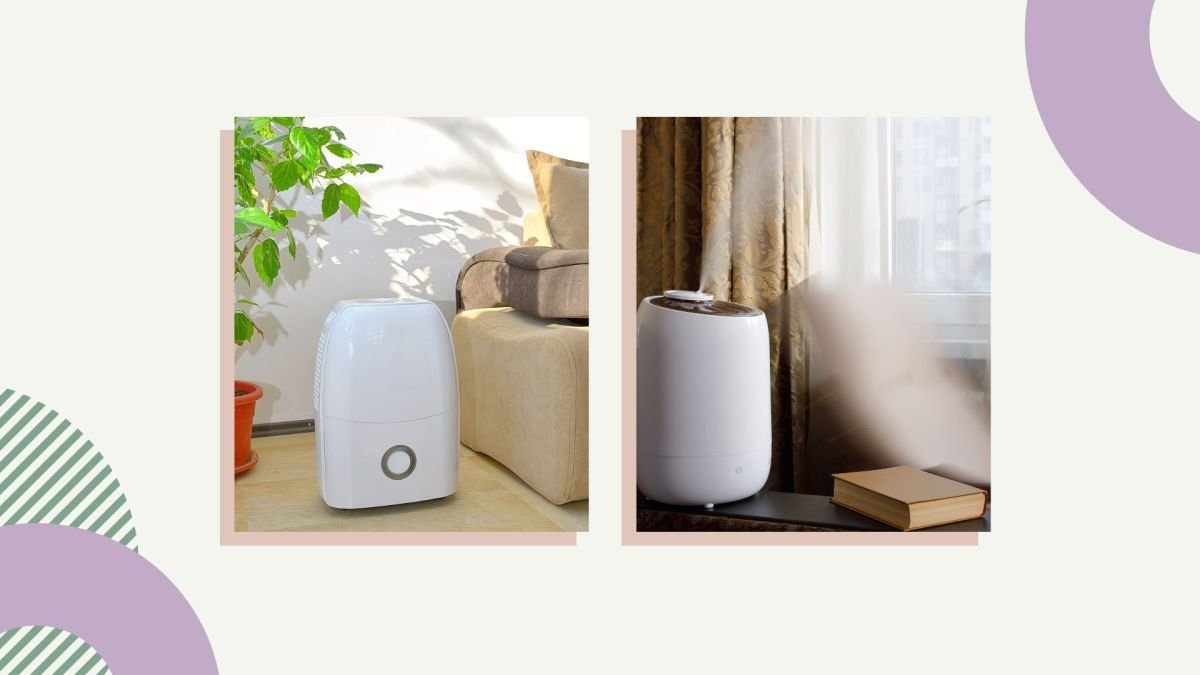 Dehumidifier vs humidifier: which is better for mold?