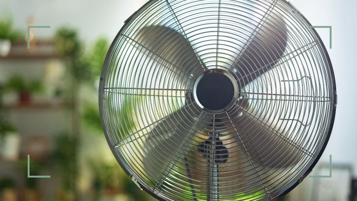 5 expert fan hacks to make you feel instantly cooler