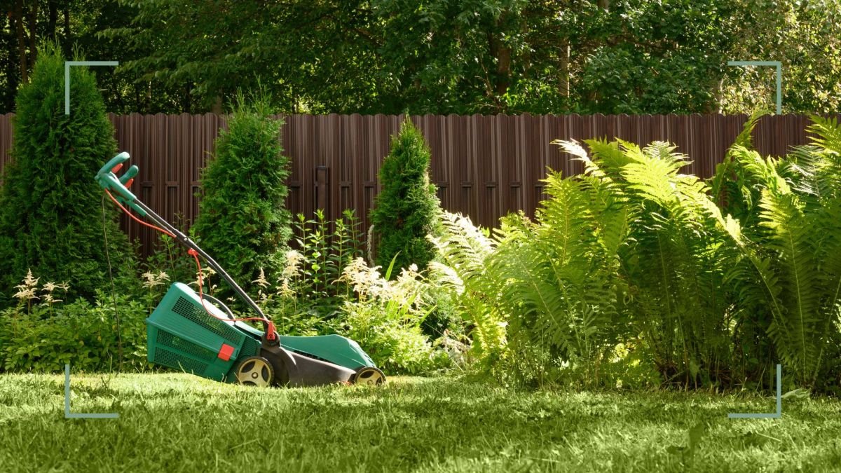 Should you leave grass clippings on a lawn? Expert opinions