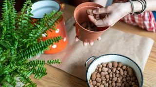 Woman adding clay rocks as drainage in a plant pot