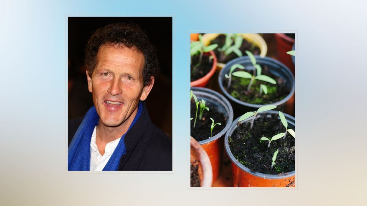 Follow Monty Don’s seed sowing advice to improve borders