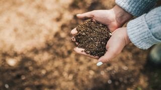 woman holding soil in her hands